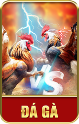 đá gà 6