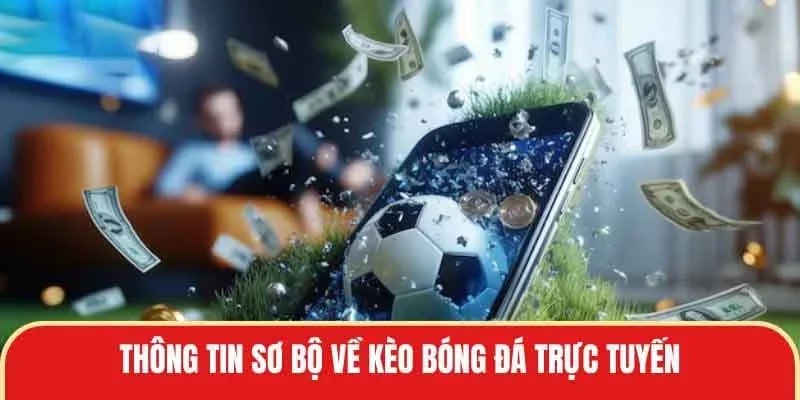 Hướng dẫn chi tiết cách đặt cược bóng đá một cách chính xác