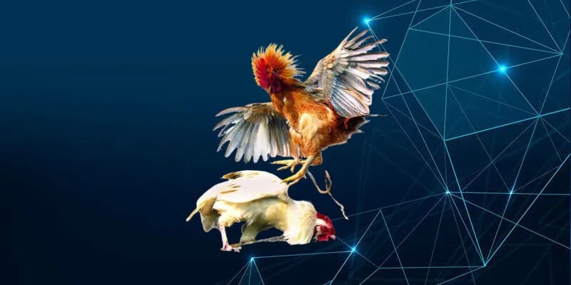 Livestream Full HD, tốc độ dưới 0.5 giây, xem cực mượt.