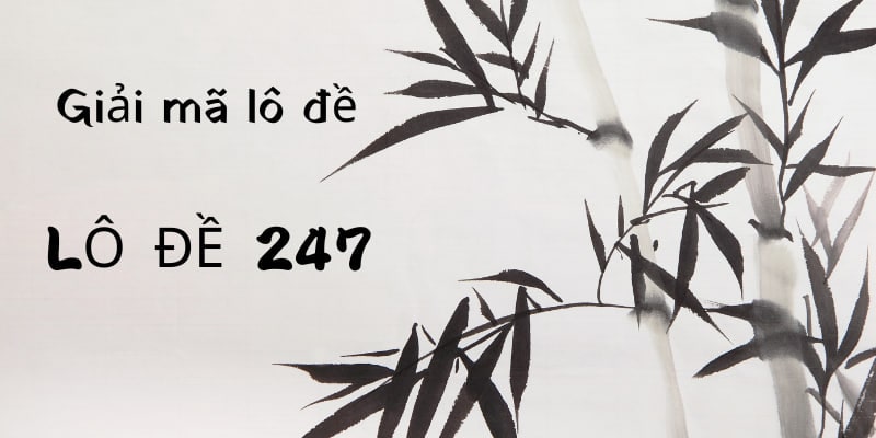 Nuôi Lô 247
