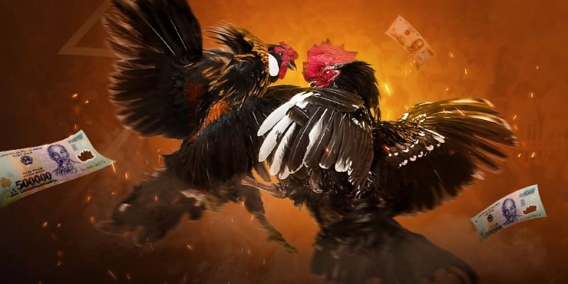 Pha phản đòn chớp nhoáng đầy uy lực